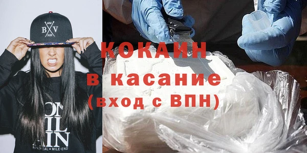 сатива Алзамай