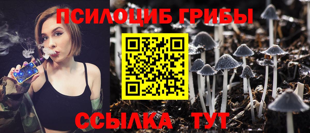 Лобня  Псилоцибиновые грибы мицелий  Вход с VPN 
